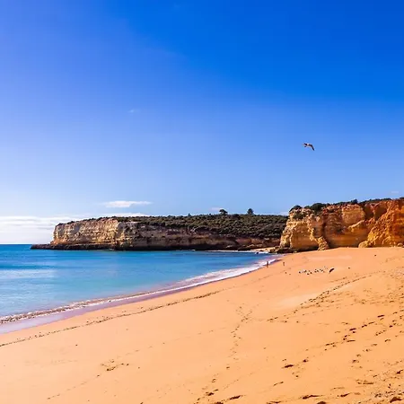 Casa Azul 3 - Senhora Da Rocha, Algarve Apartment *